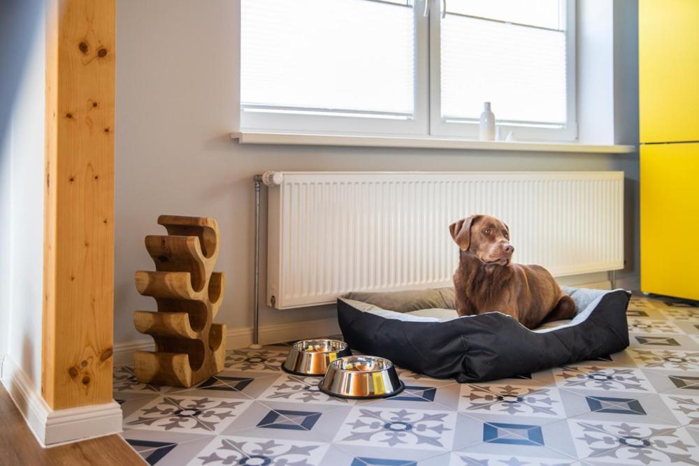 Elli'S Hus Villa Loit Екстериор снимка